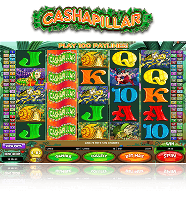 Microgaming Cashapillar Spiel