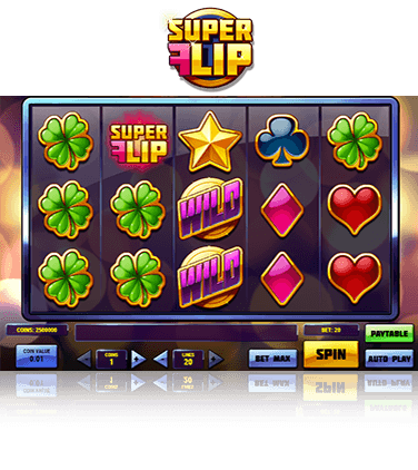 In-game view of Super Flip game